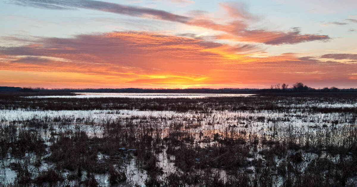 pc david stimac-Shiawasse.jpg